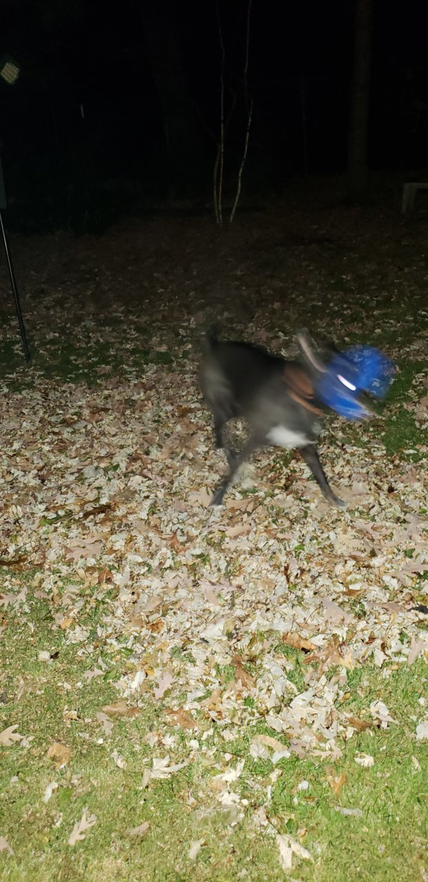 20201120_191652.jpg