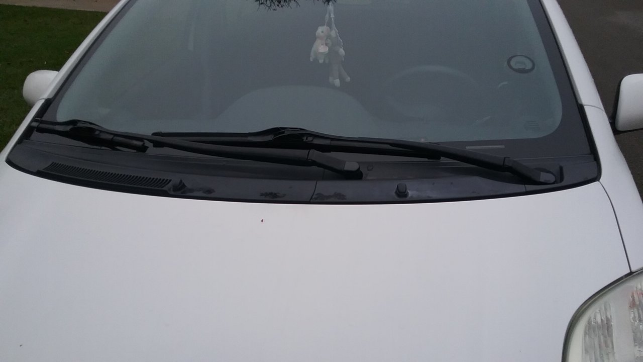 20201121_103507.jpg