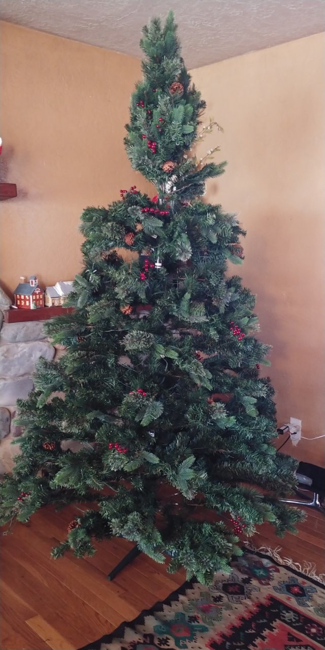 20201121_141112.jpg