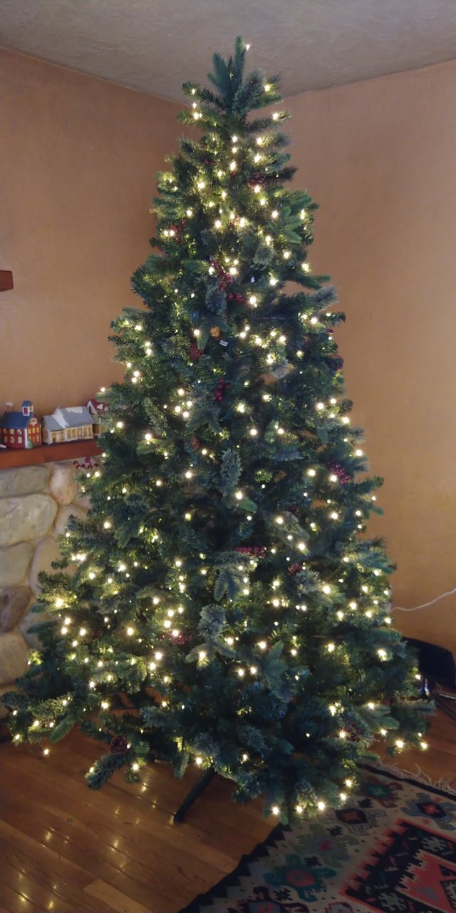 20201121_145433.jpg