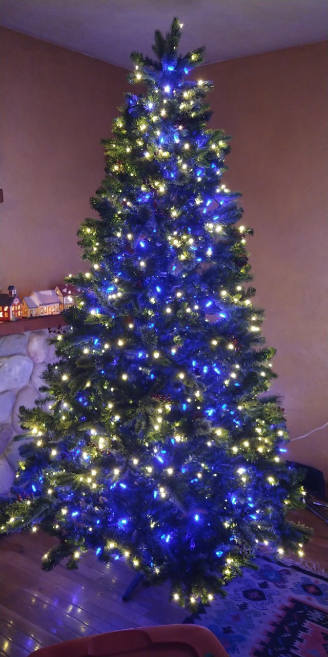 20201121_174905.jpg