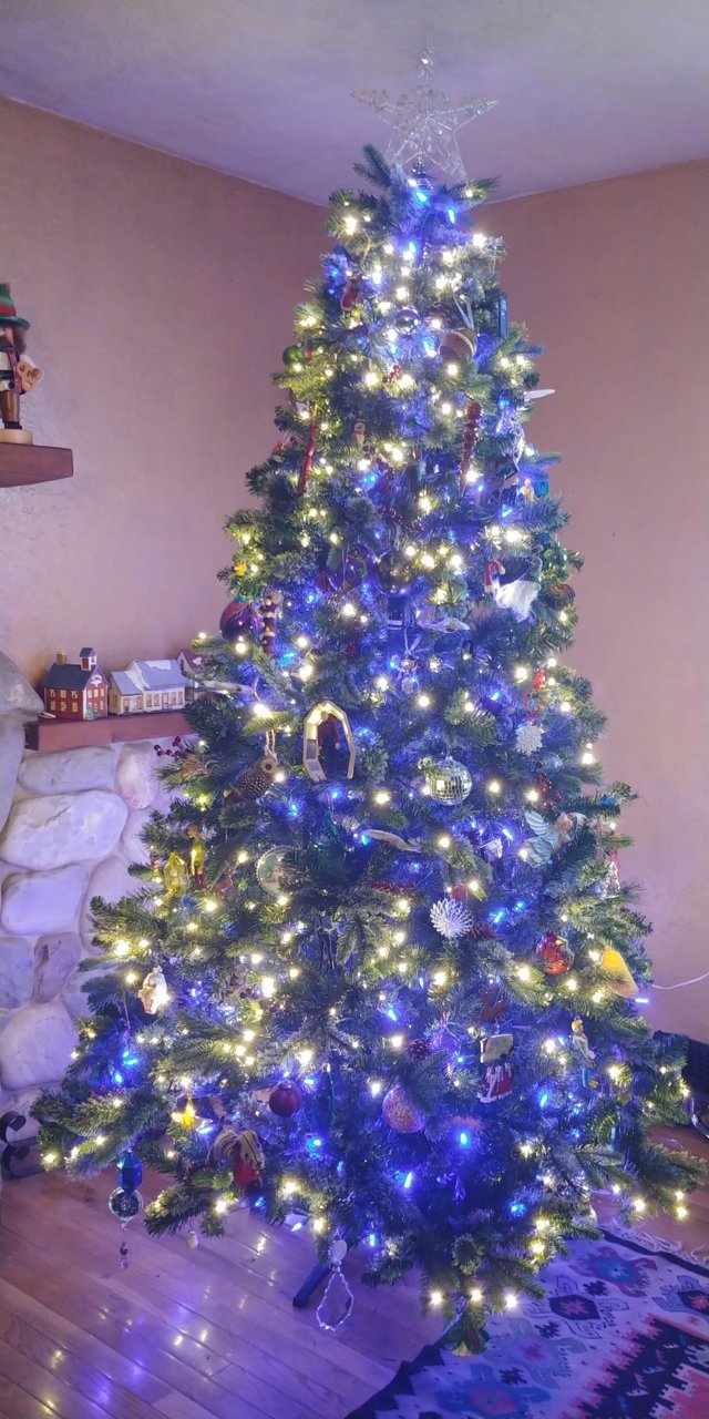 20201121_200053.jpg