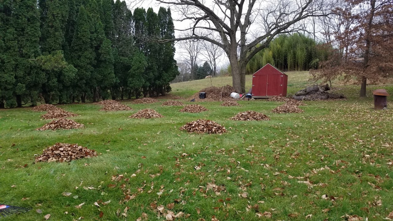 20201122_112940.jpg