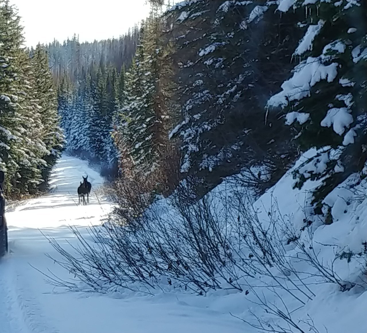 20201122_143241~2.jpg