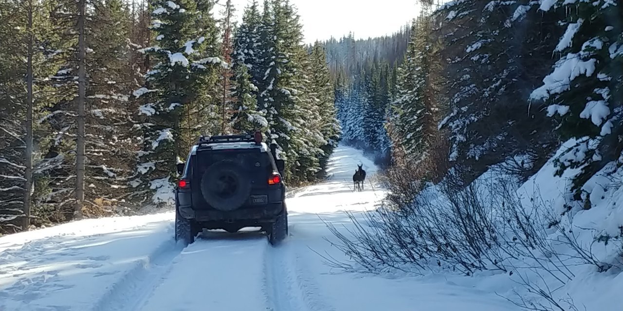 20201122_143241.jpg