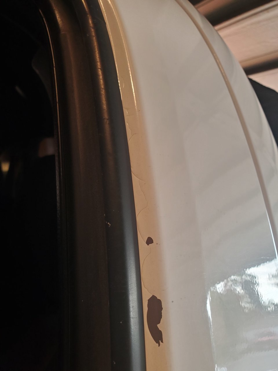20201122_160450.jpg