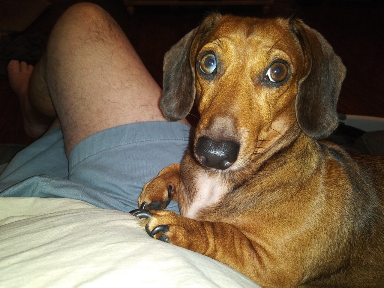 20201122_174846.jpg