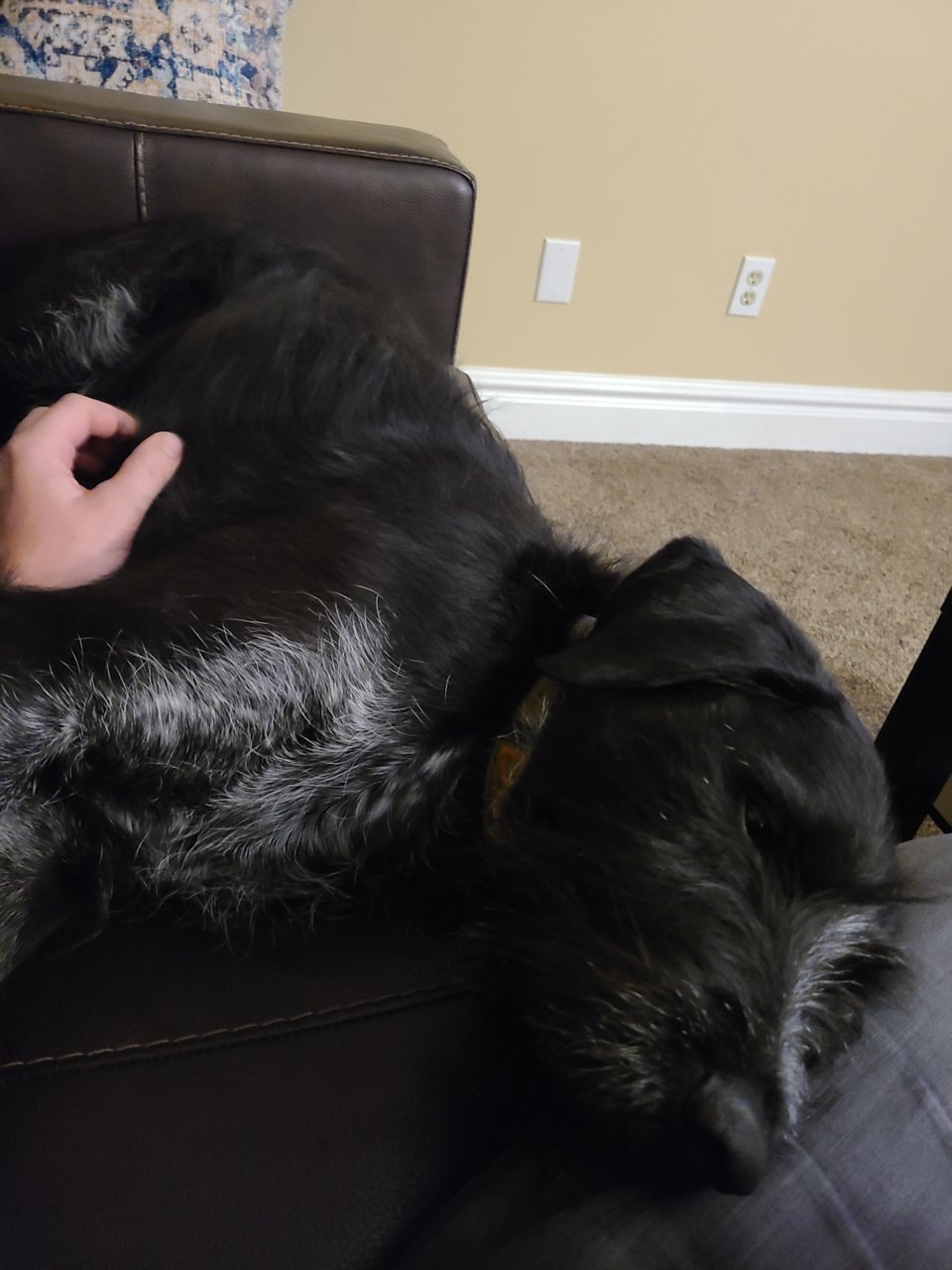 20201122_205200.jpg