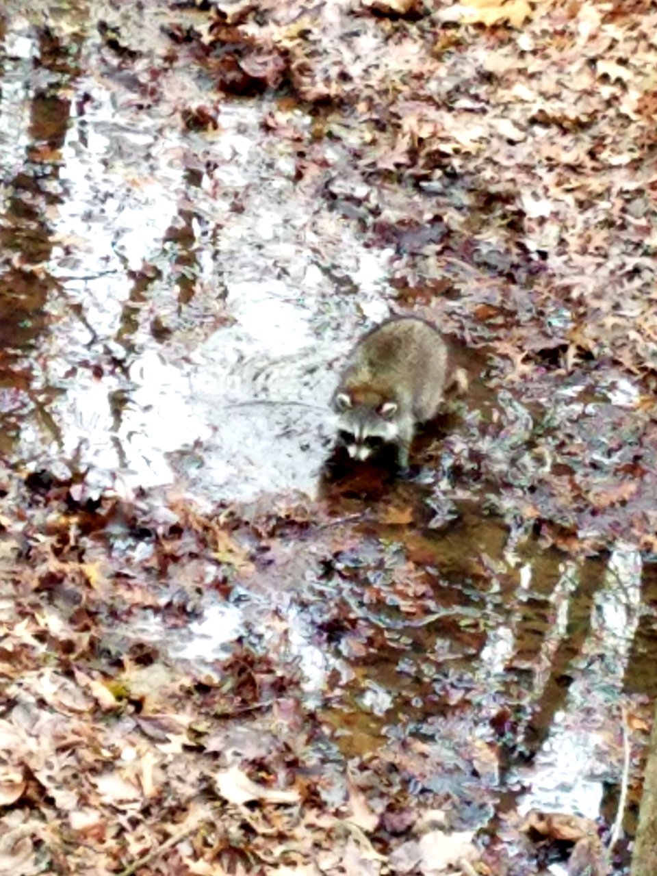 20201123_200843.jpg