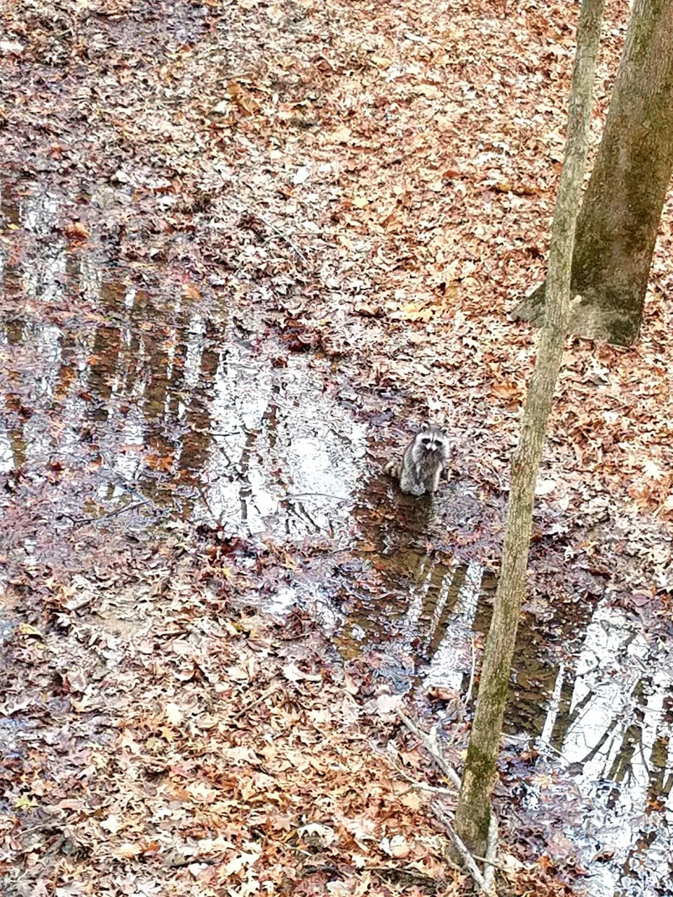20201123_200912.jpg