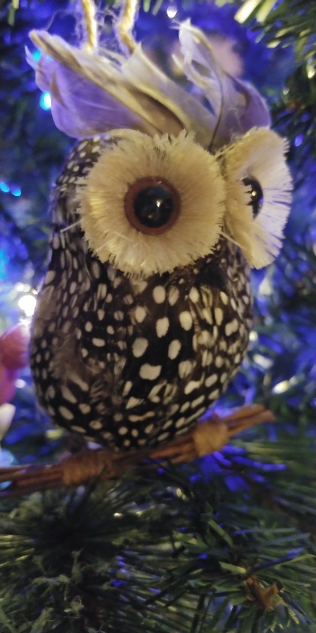 20201123_201153.jpg