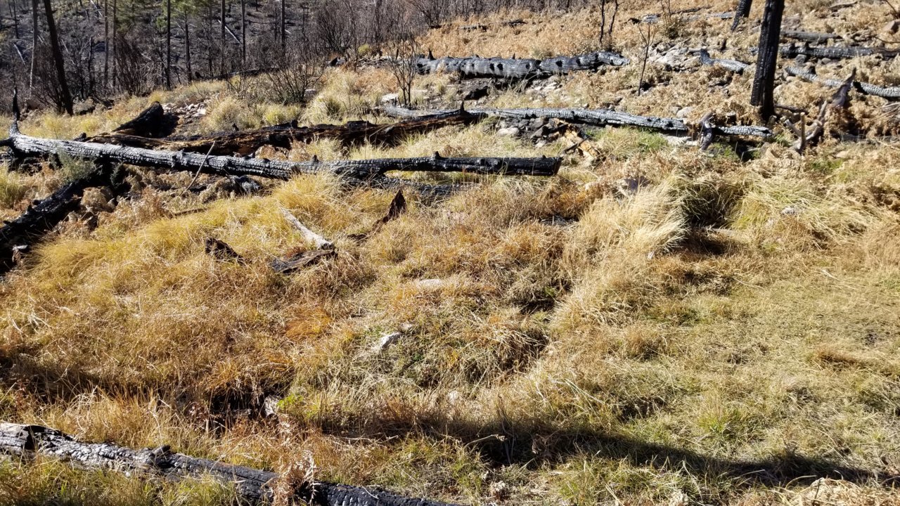 20201124_143821.jpg