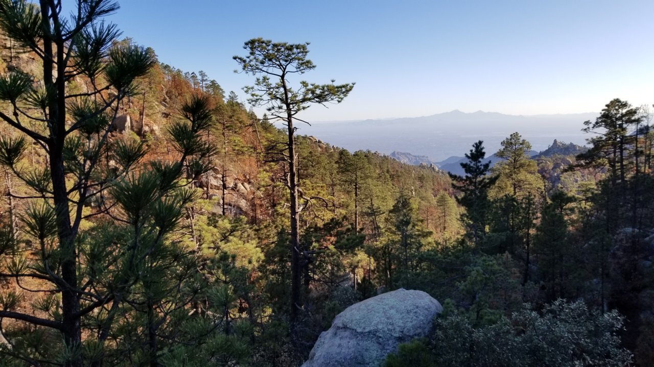 20201124_161308.jpg