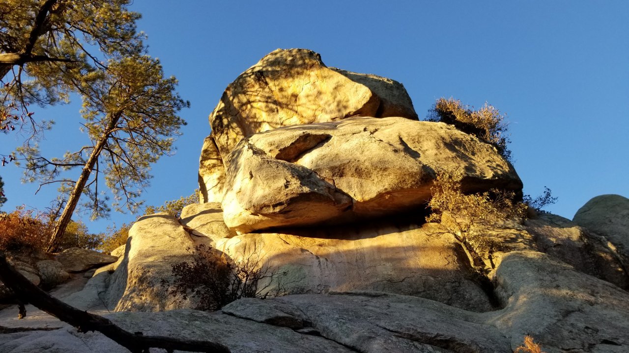 20201124_165432.jpg