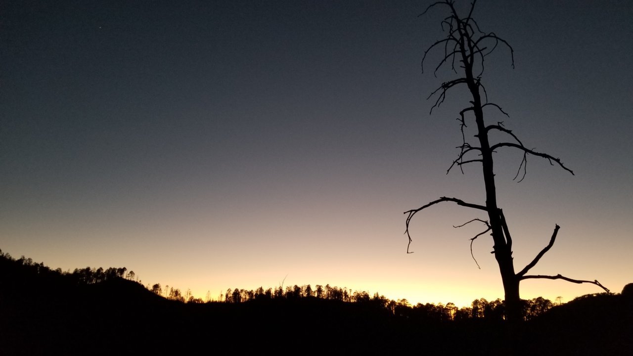 20201124_174606.jpg