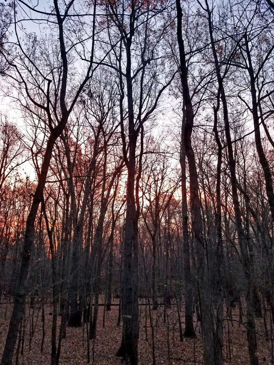 20201124_193948.jpg