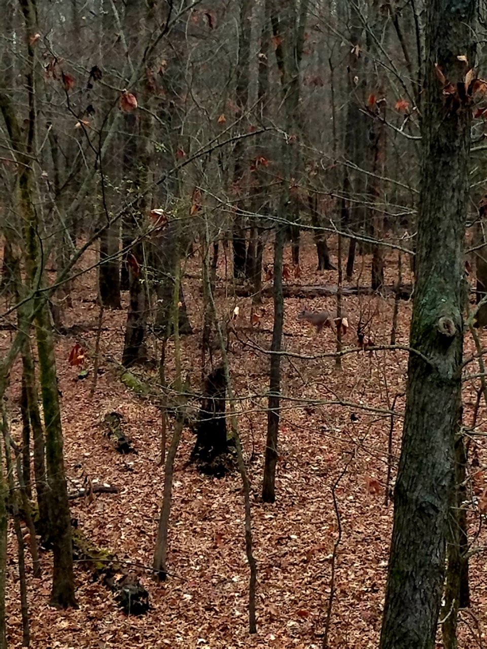 20201124_194017.jpg