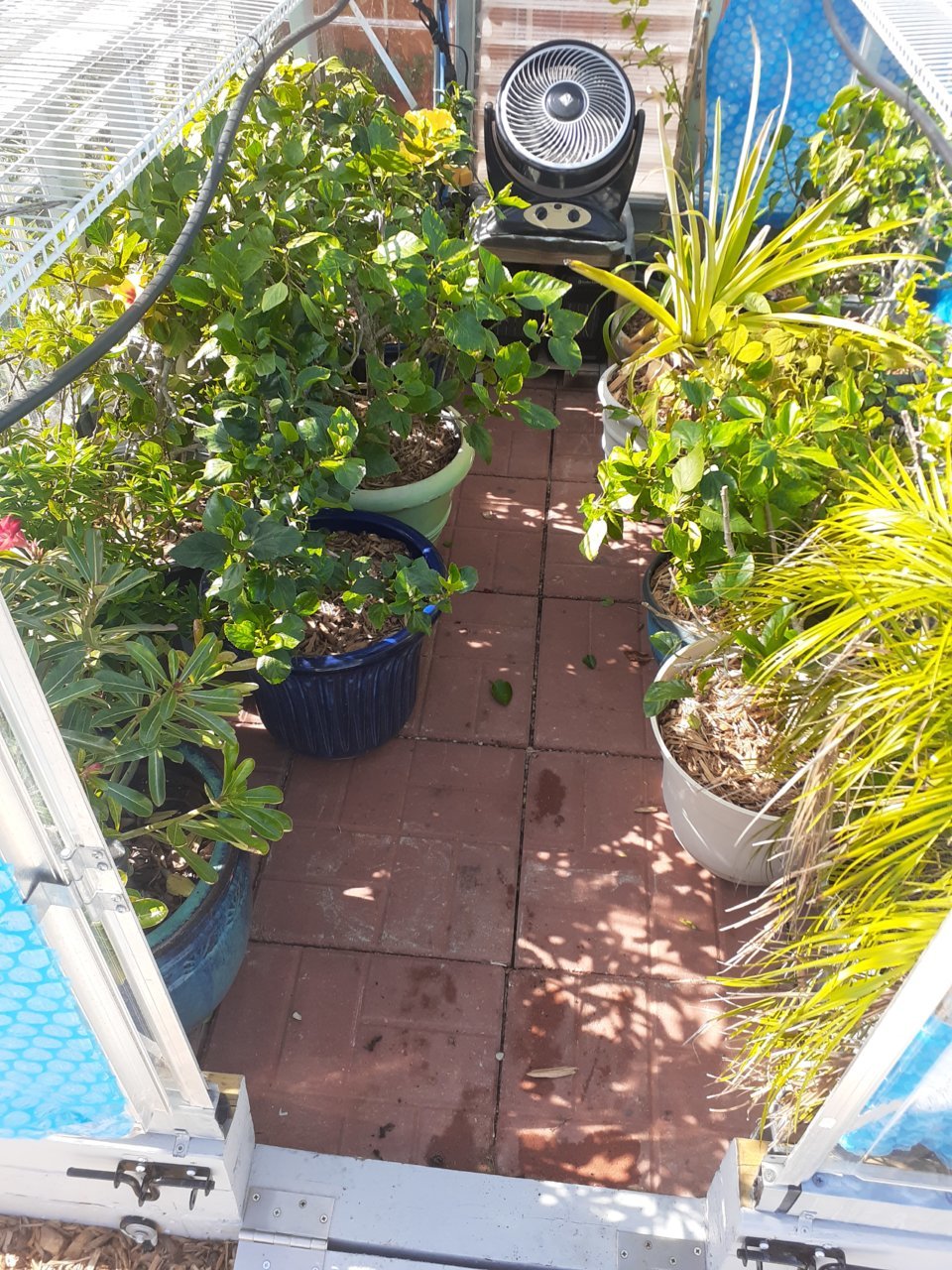 20201125_121038.jpg