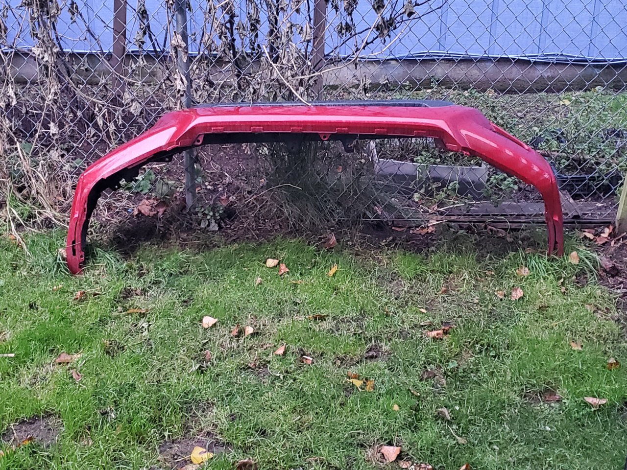 20201125_162909.jpg