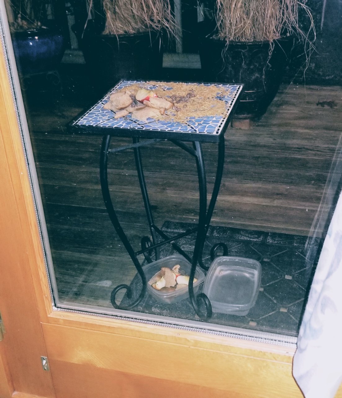 20201125_172505~2.jpg