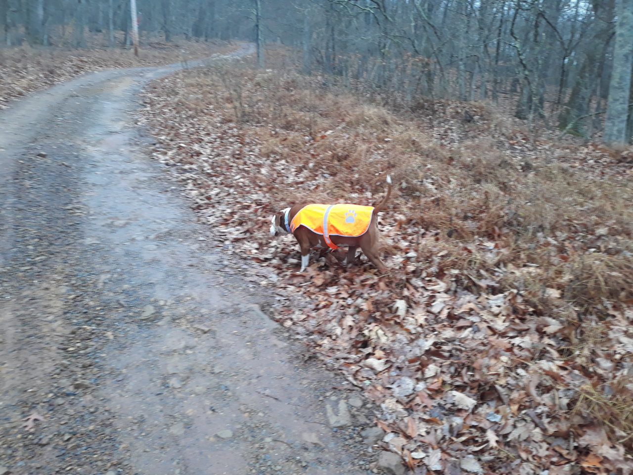 20201126_083121.jpg