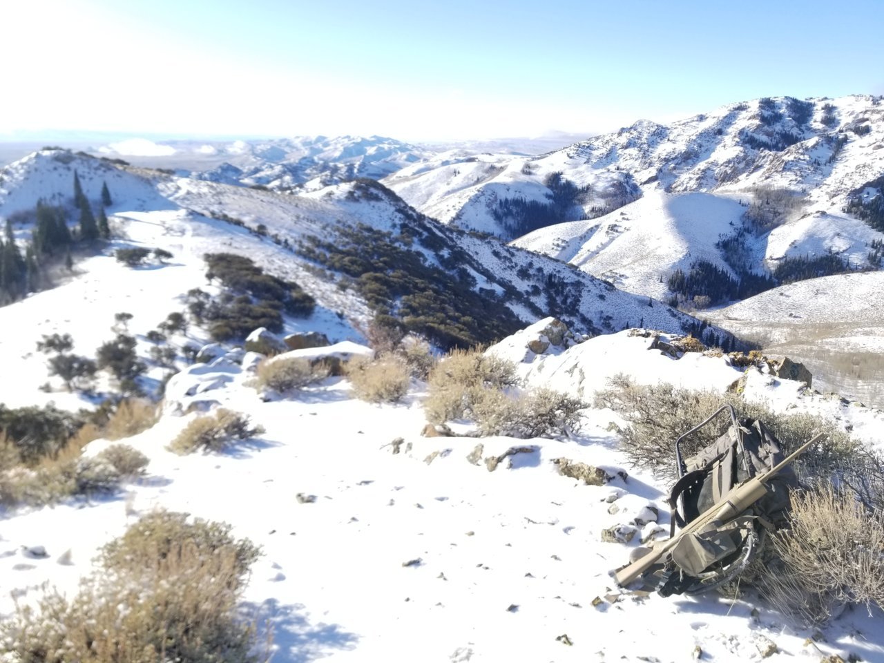 20201126_084339.jpg