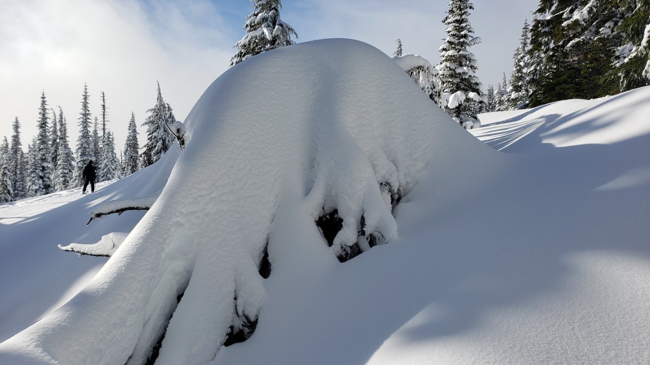 20201126_113315.jpg