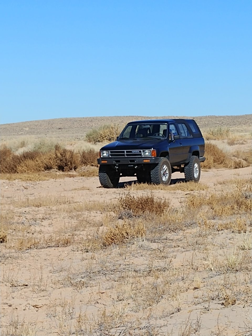 20201126_114738.jpg