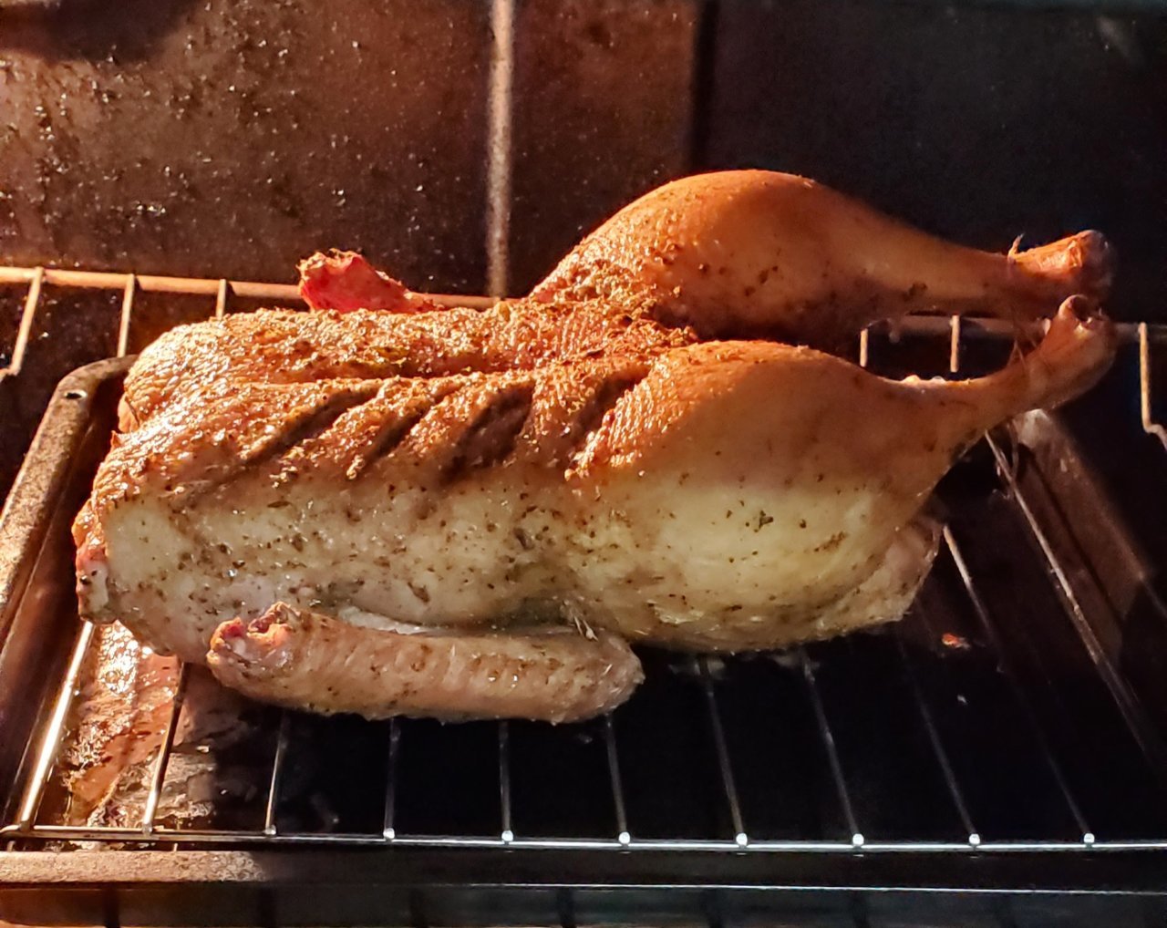 20201126_121558.jpg
