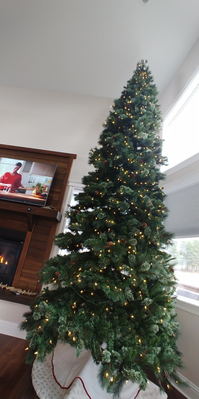20201126_122235.jpg