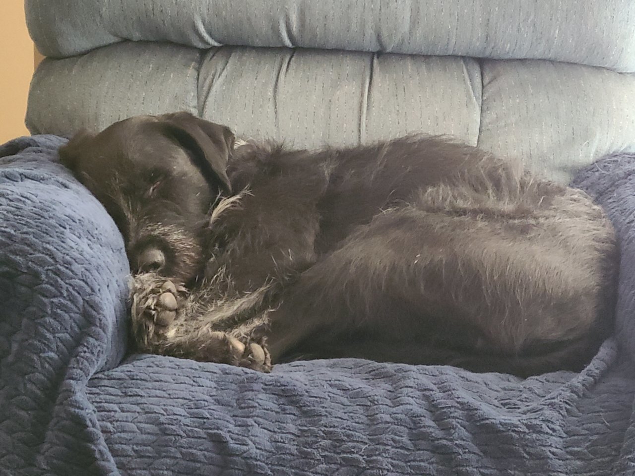 20201126_142854.jpg