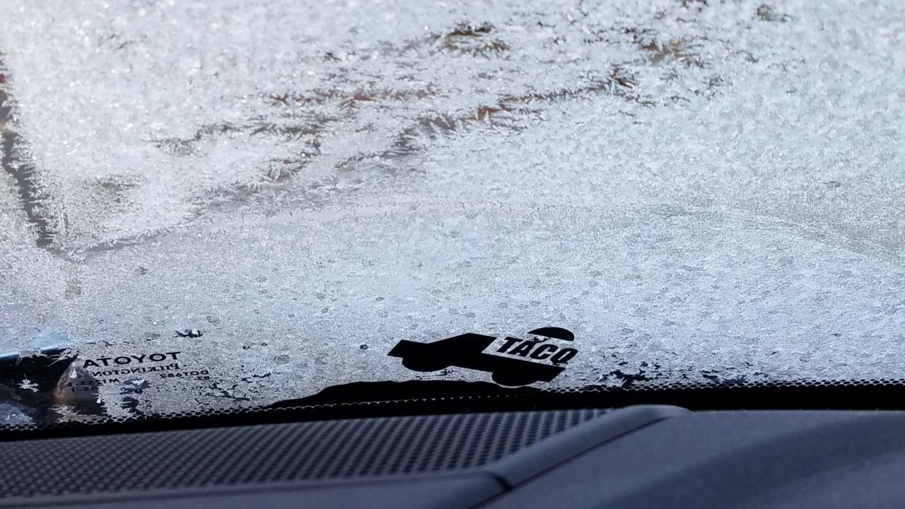 20201127_104232.jpg