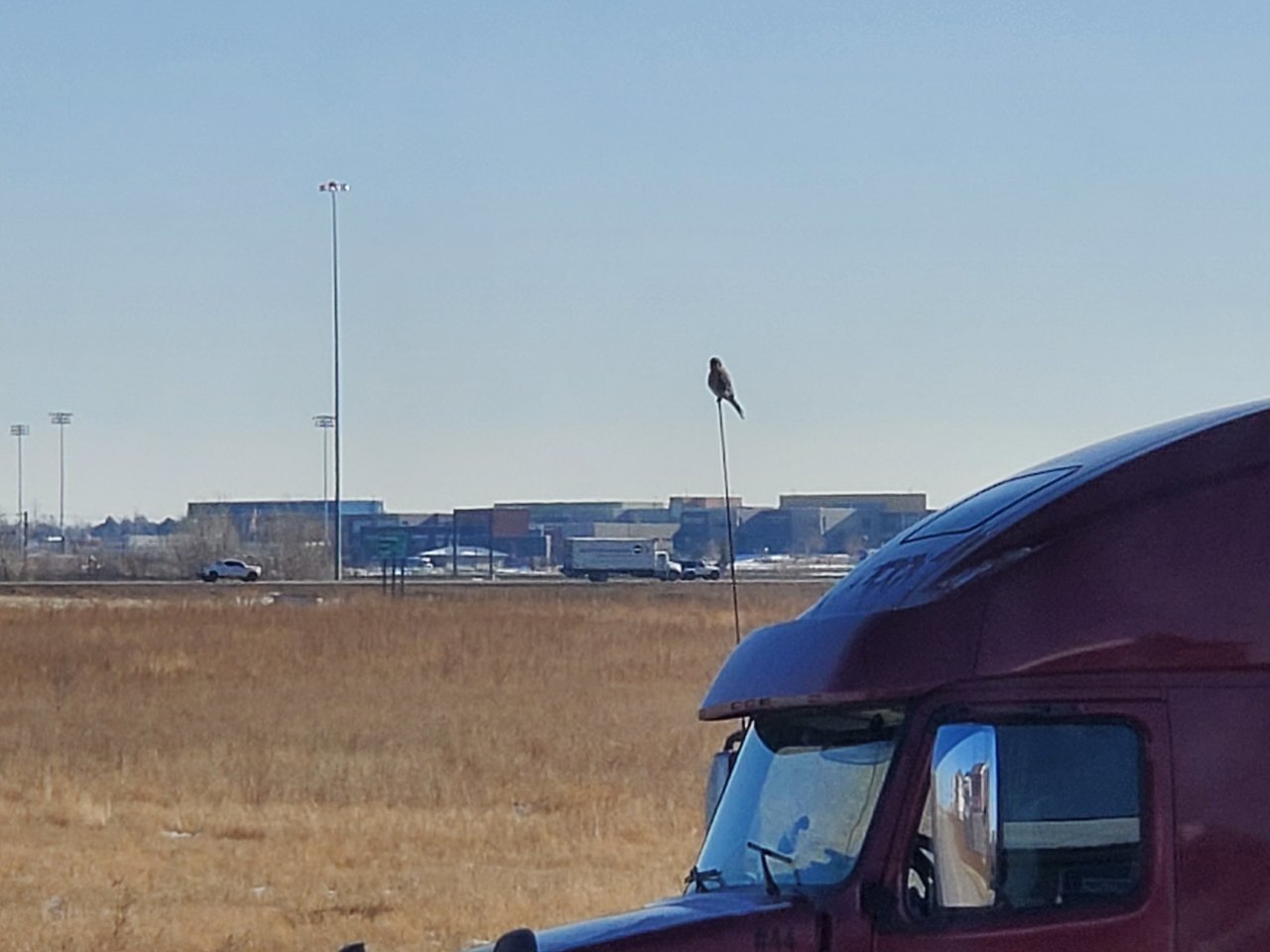 20201127_123714.jpg