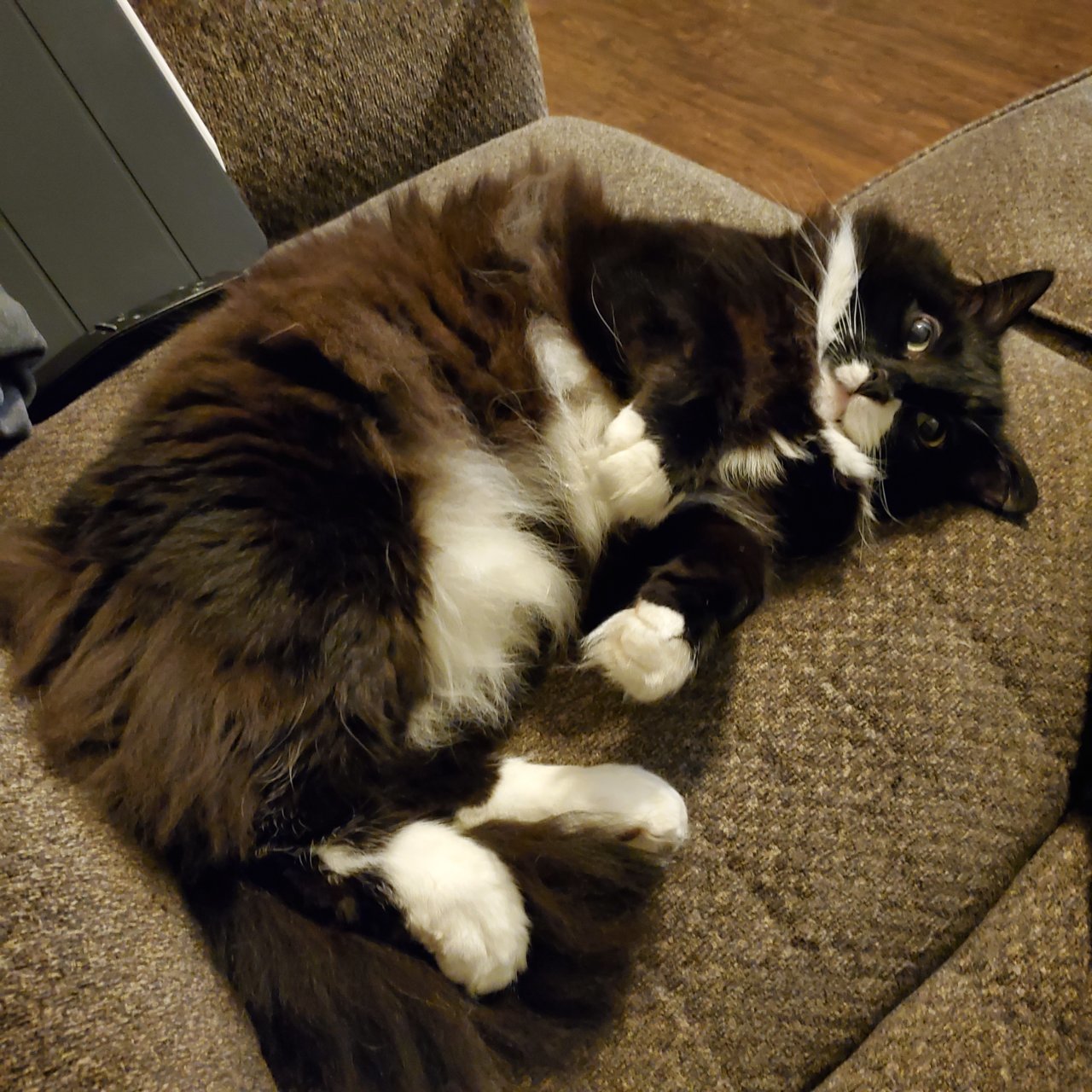 20201127_203314.jpg