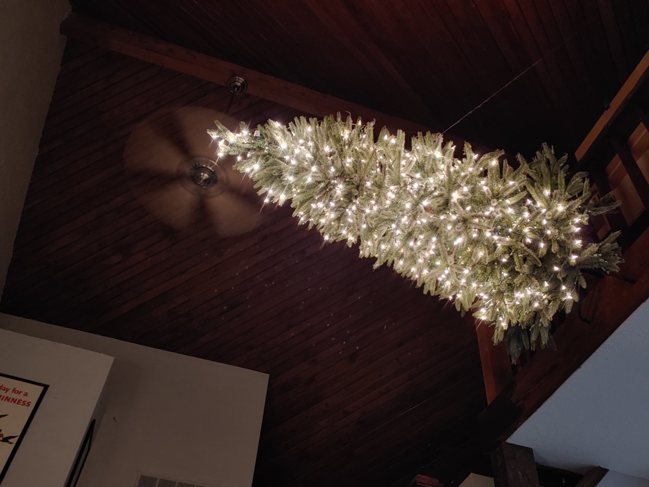 20201127_204238_HDR.jpg