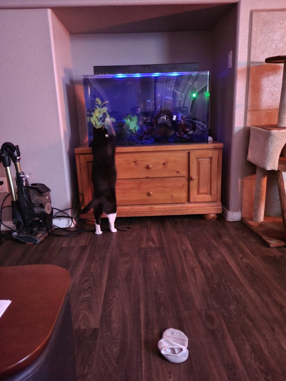 20201128_014041.jpg