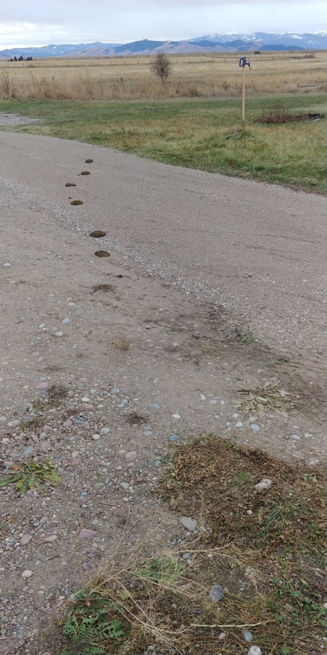 20201128_091204.jpg