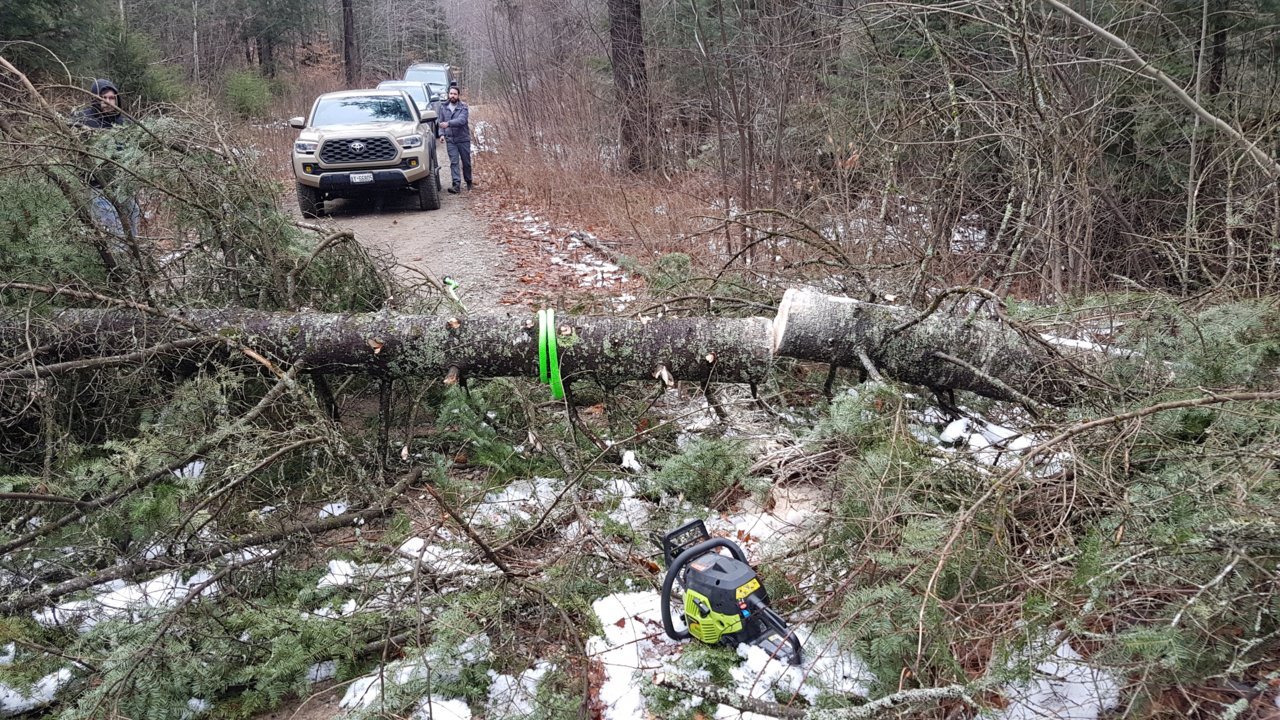 20201128_131734.jpg