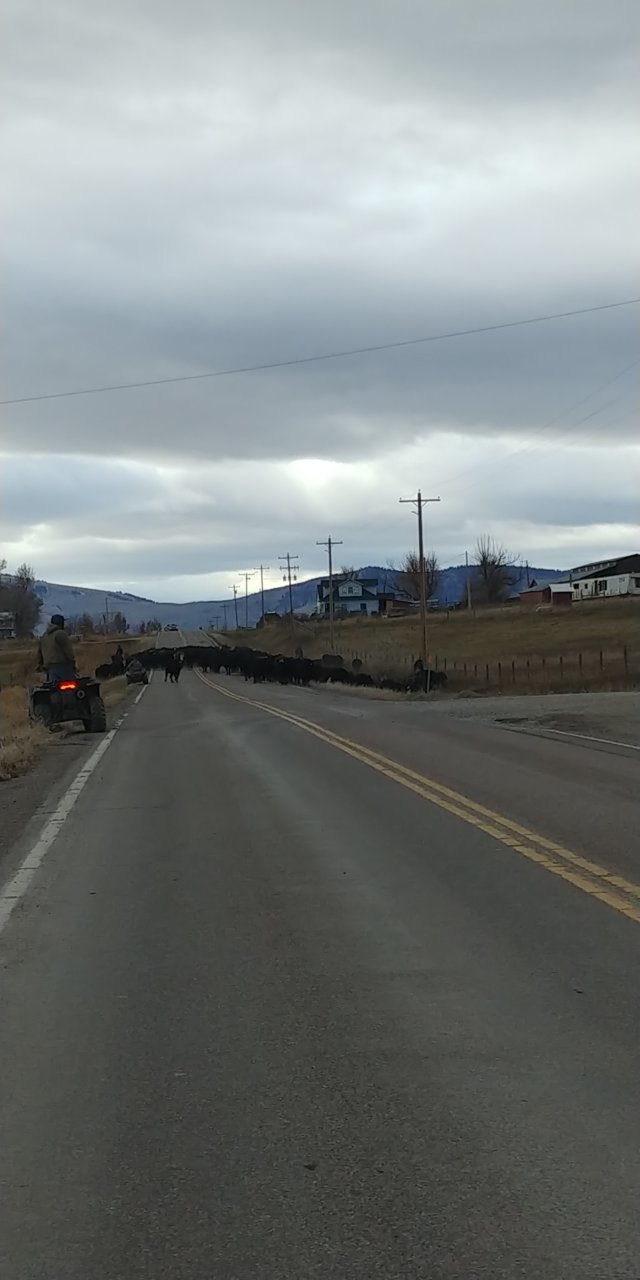 20201128_133610.jpg