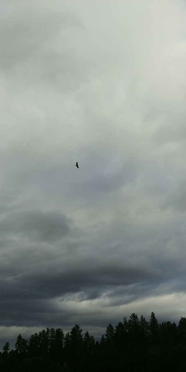 20201128_145043.jpg