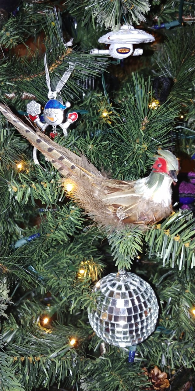 20201128_170824.jpg
