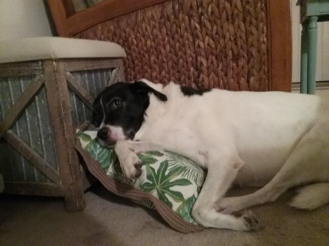 20201128_182556.jpg