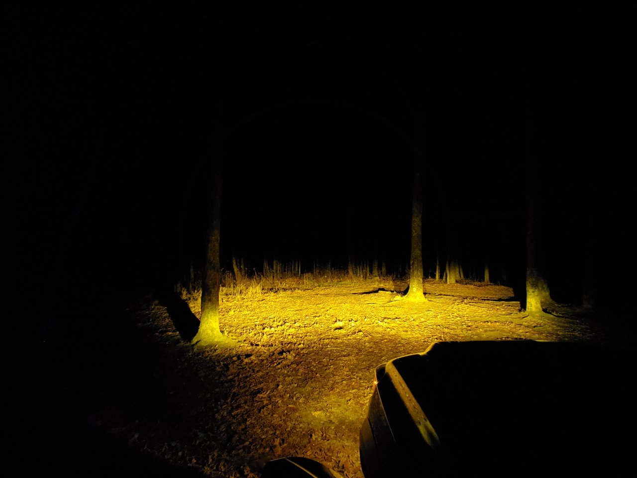 20201128_202433.jpg