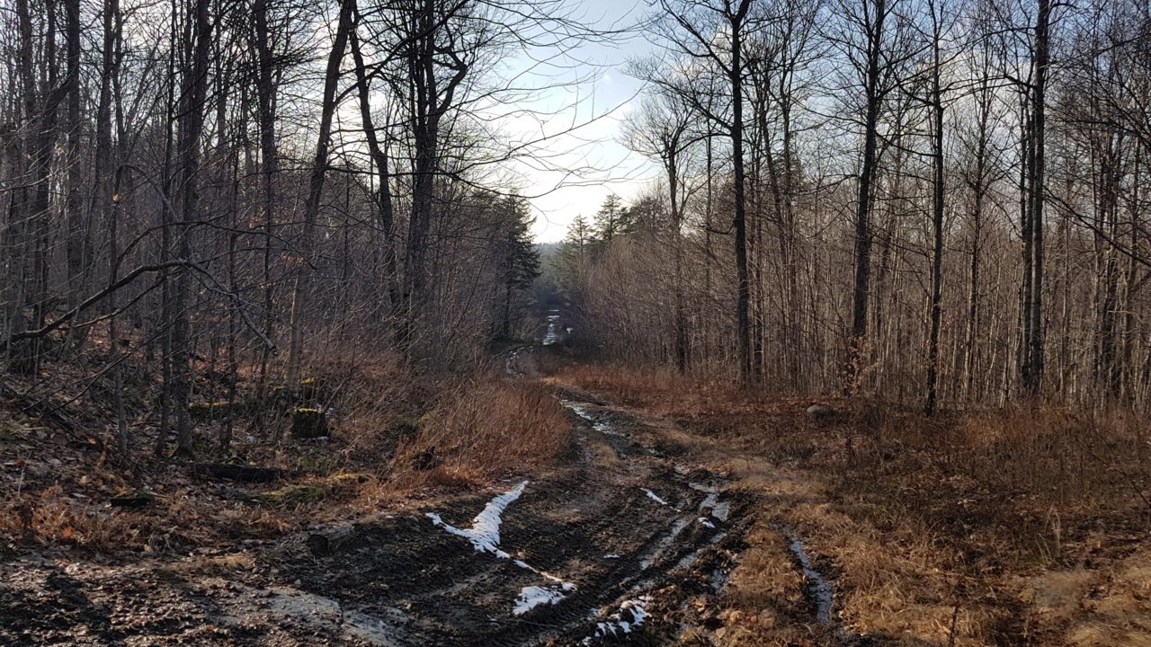 20201129_142845.jpg