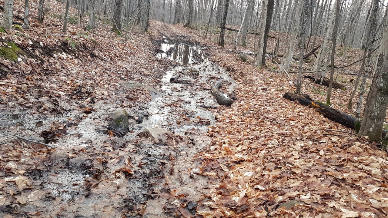 20201129_161006.jpg