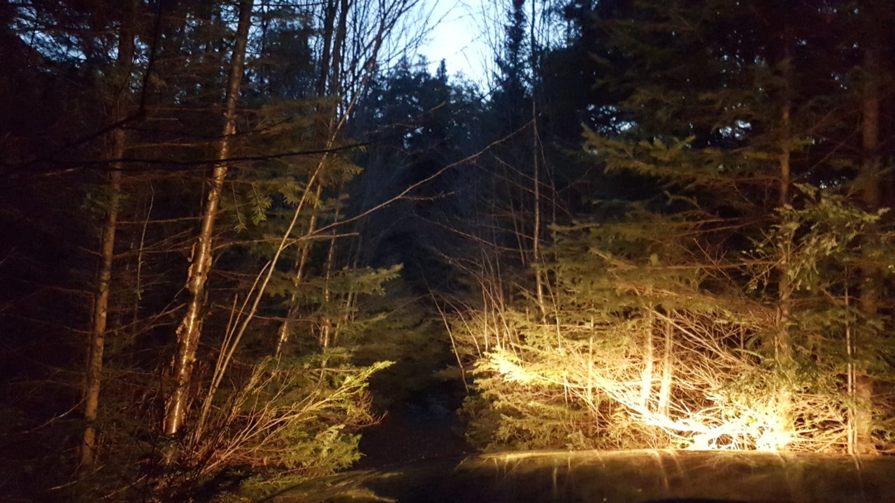20201129_165951.jpg