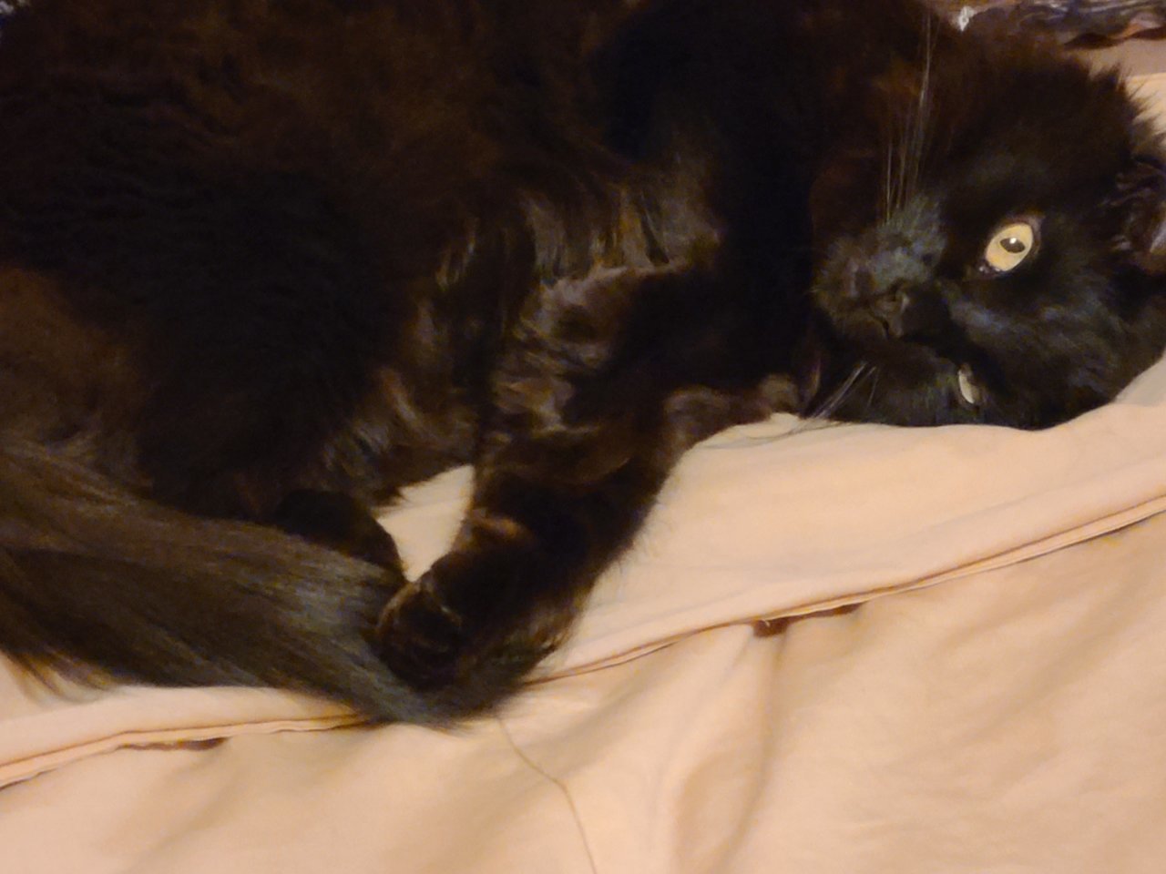20201129_174336.jpg