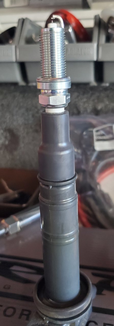 20201201_131807.jpg