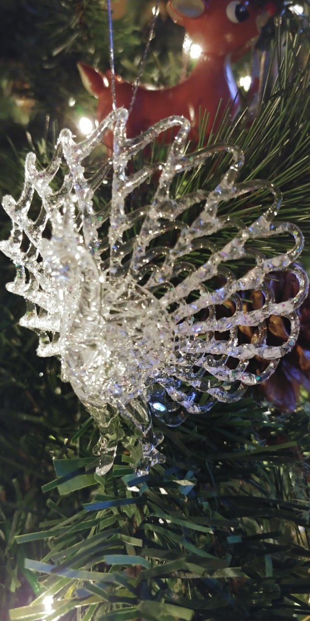 20201201_215211.jpg