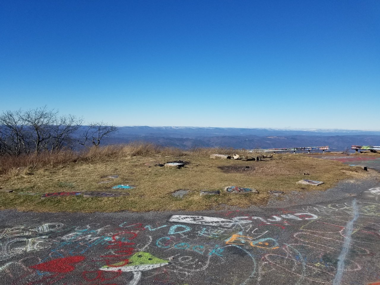 20201202_122941.jpg